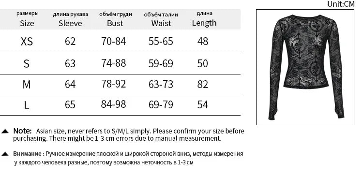 Gothic Alt Goth Sheer VIntage Style Long Sleeve Top