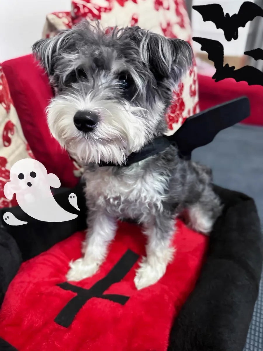 Gothic Halloween Cross Coffin Shaped Cat Puppy Pet Bed