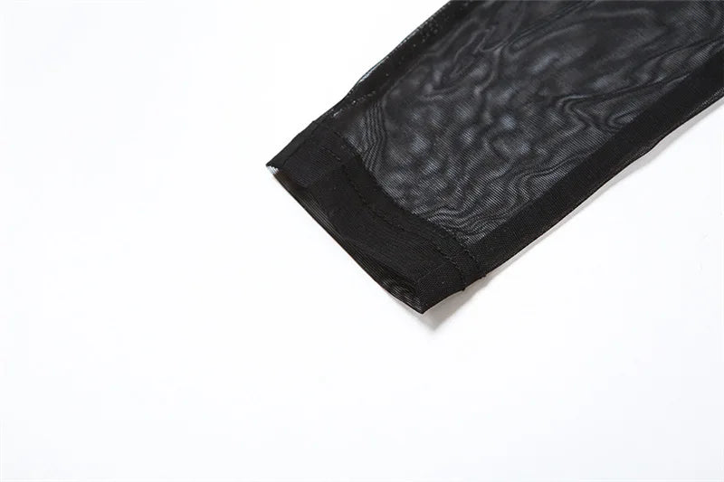 Gothic Alt Goth Off Shoulder Sheer Mesh Long Sleeve and Inner Tube Top Set